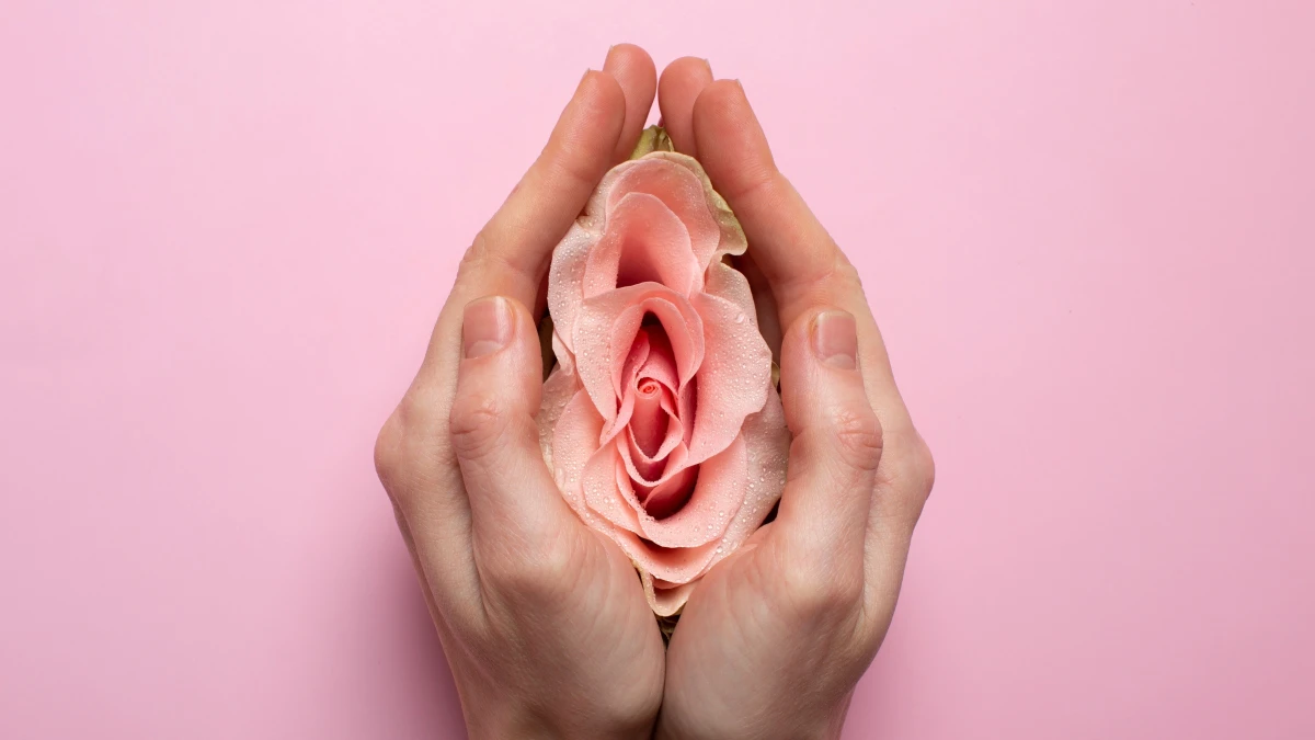 Mani che racchiudono un fiore rosa, simbolo della femminilità e della labioplastica vaginale